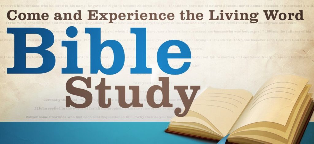 Life Group Bible Study 15